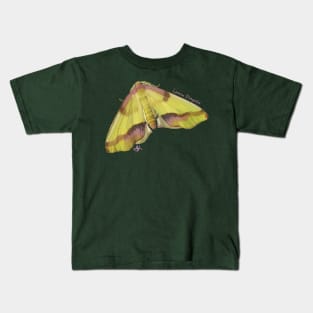 Lemony Lemon Plagodis Moth Kids T-Shirt